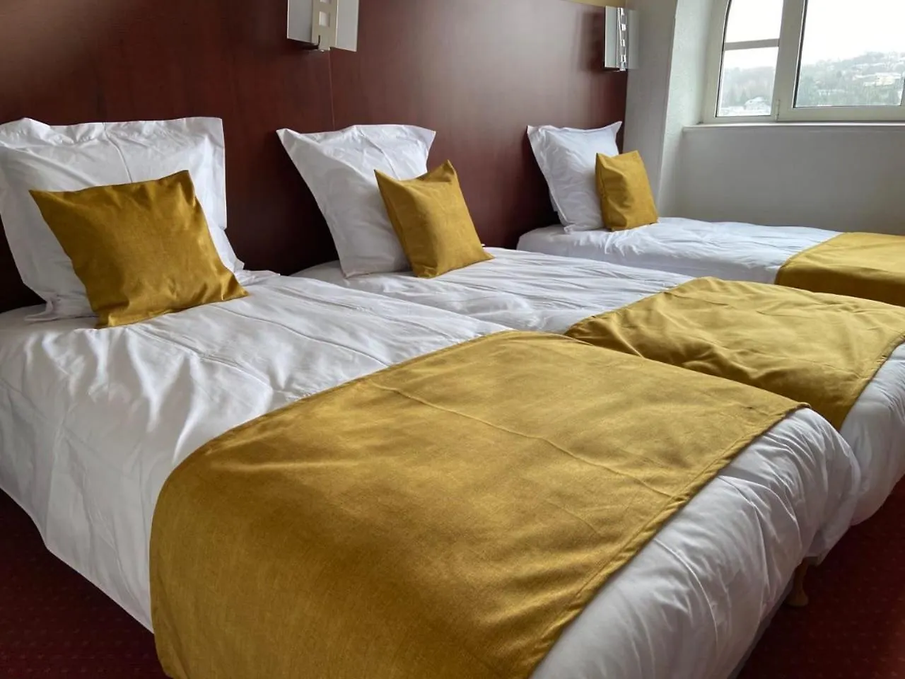 ***  Hotel De Lisieux Lourdes France