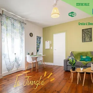 Le Jungle--hyper Centre--tout Confort--wifi Appartement